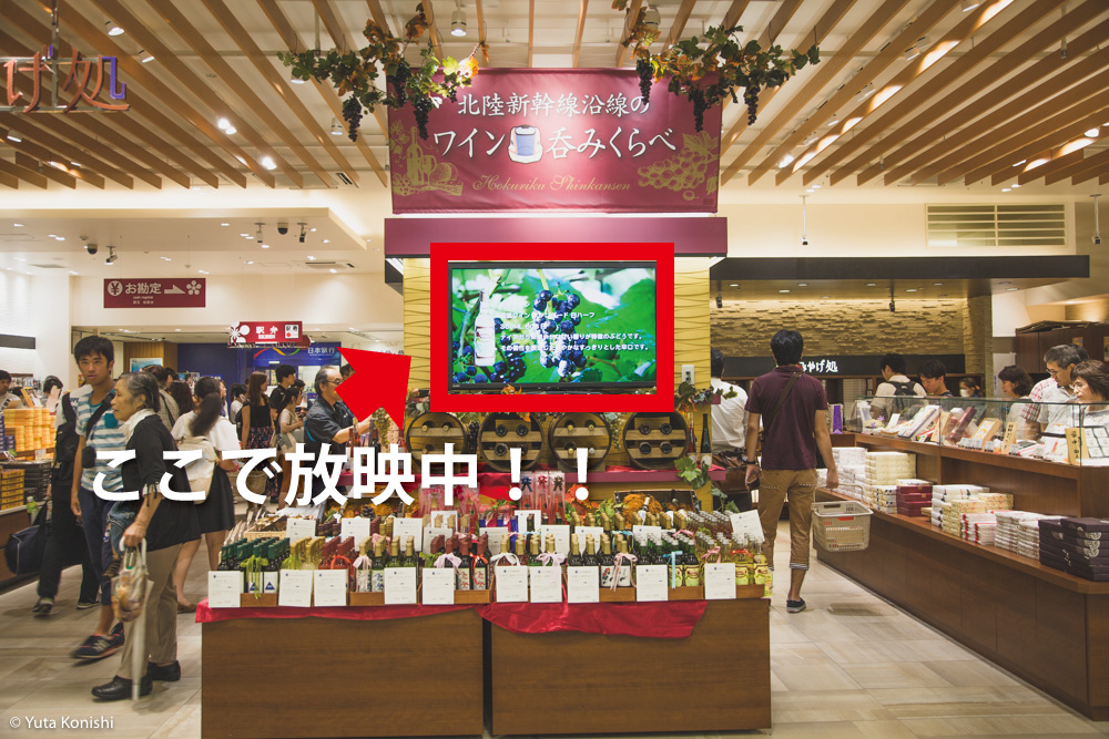 北陸新幹線沿線のワイン飲みくらべ開催中! 金沢駅「おみやげ処」で開催中!!一度に地物ワインが集まることはなかなかないよ!